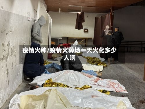疫情火种/疫情火葬场一天火化多少人啊