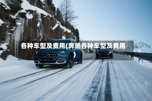 各种车型及费用(奔驰各种车型及费用)-第2张图片