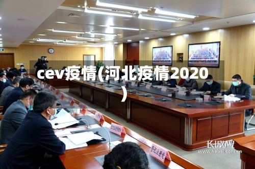 cev疫情(河北疫情2020)-第3张图片
