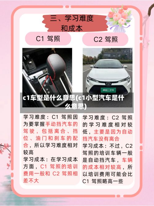 c1车型是什么意思(c1小型汽车是什么意思)
