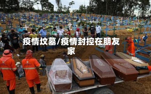 疫情坟墓/疫情封控在朋友家