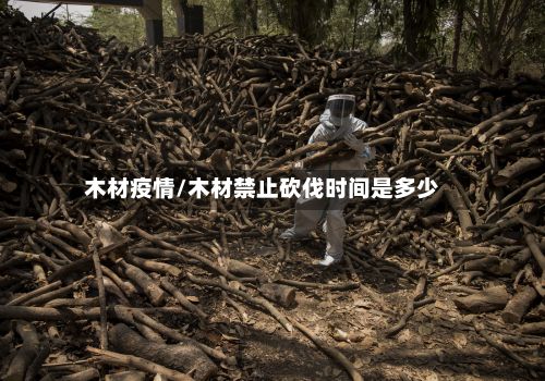 木材疫情/木材禁止砍伐时间是多少-第2张图片