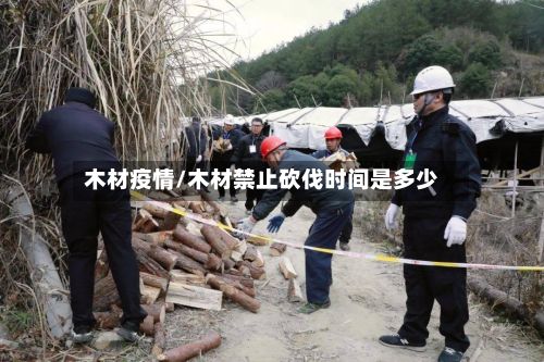 木材疫情/木材禁止砍伐时间是多少