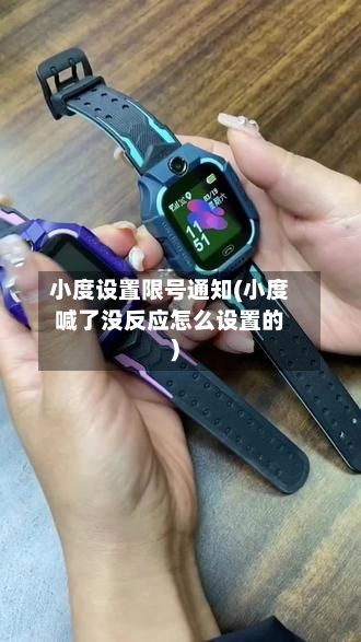 小度设置限号通知(小度喊了没反应怎么设置的)-第2张图片