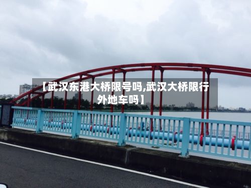 【武汉东港大桥限号吗,武汉大桥限行外地车吗】