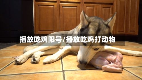 播放吃鸡限号/播放吃鸡打动物-第2张图片
