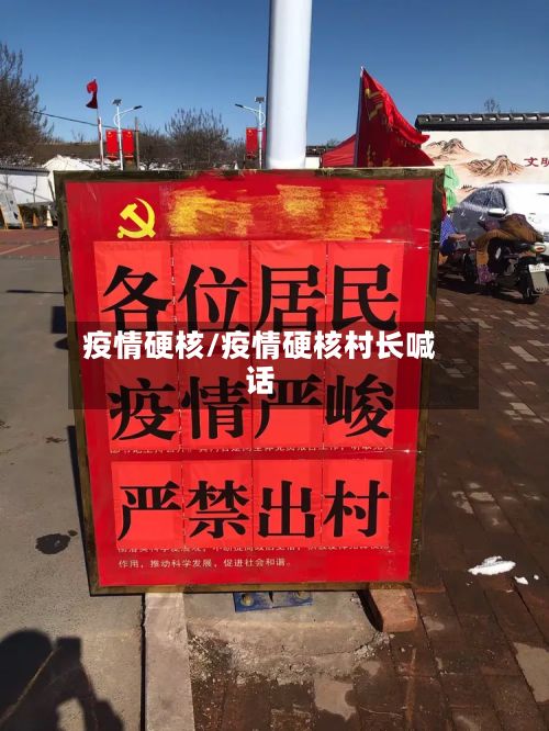 疫情硬核/疫情硬核村长喊话