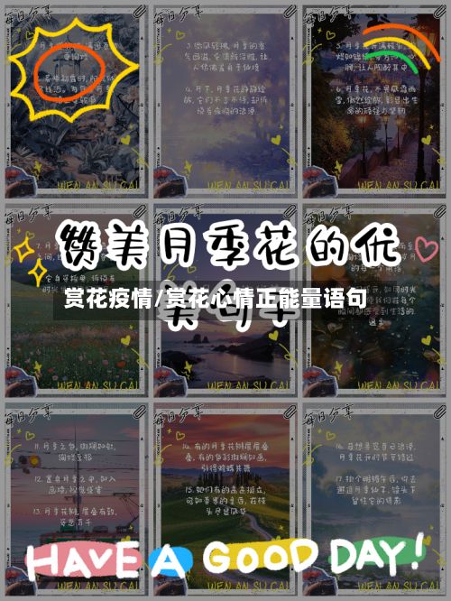 赏花疫情/赏花心情正能量语句-第2张图片