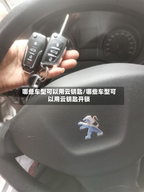 哪些车型可以用云钥匙/哪些车型可以用云钥匙开锁-第2张图片