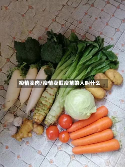 疫情卖肉/疫情卖假疫苗的人叫什么