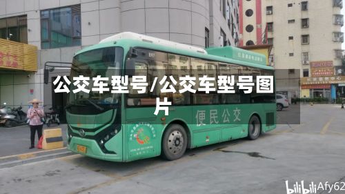 公交车型号/公交车型号图片