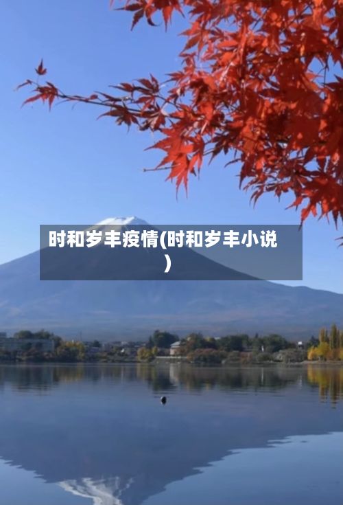 时和岁丰疫情(时和岁丰小说)