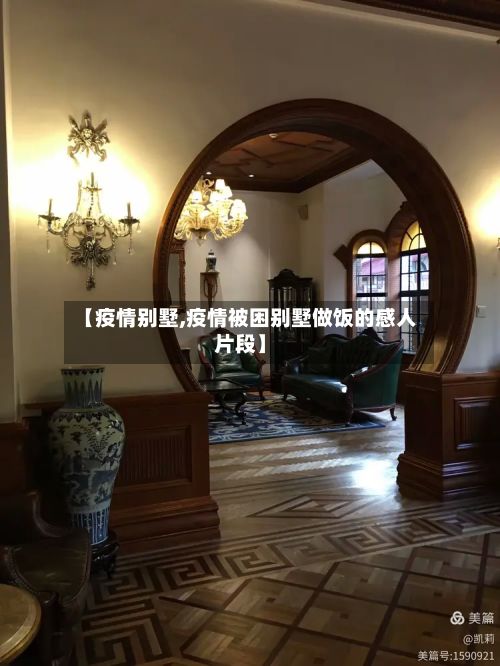 【疫情别墅,疫情被困别墅做饭的感人片段】-第2张图片