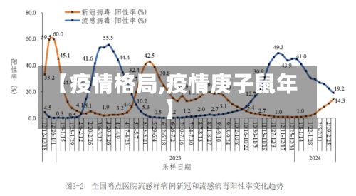 【疫情格局,疫情庚子鼠年】