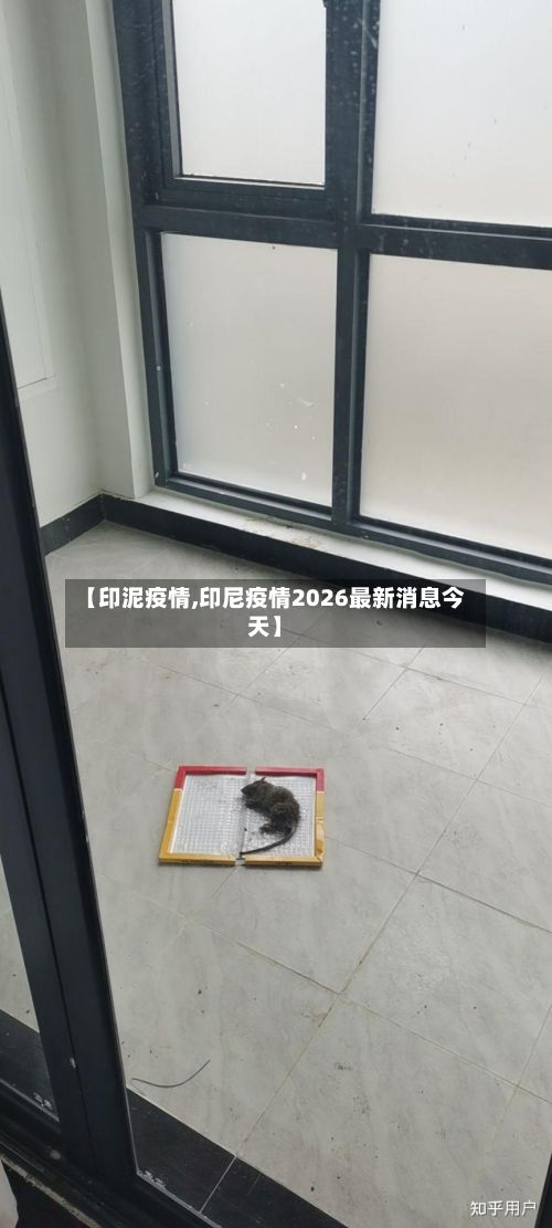 【印泥疫情,印尼疫情2026最新消息今天】-第3张图片