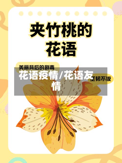 花语疫情/花语友情