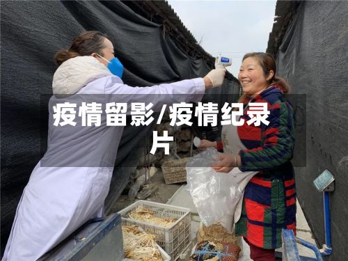 疫情留影/疫情纪录片