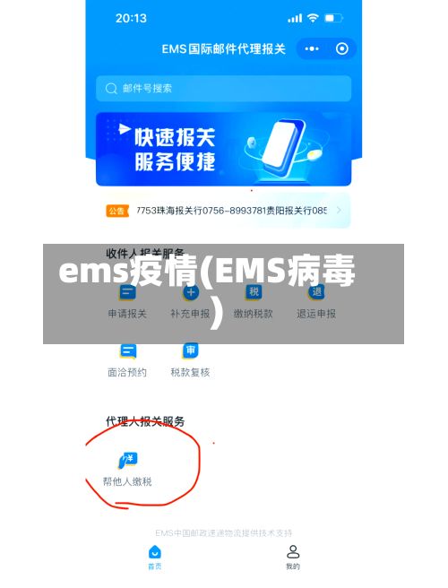 ems疫情(EMS病毒)-第3张图片
