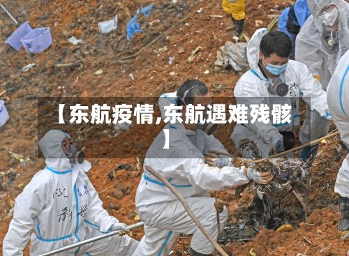 【东航疫情,东航遇难残骸】
