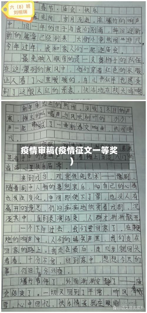 疫情审稿(疫情征文一等奖)-第2张图片