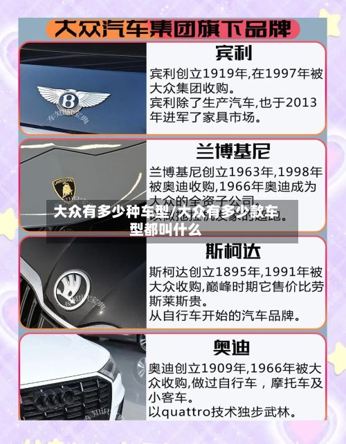 大众有多少种车型/大众有多少款车型都叫什么