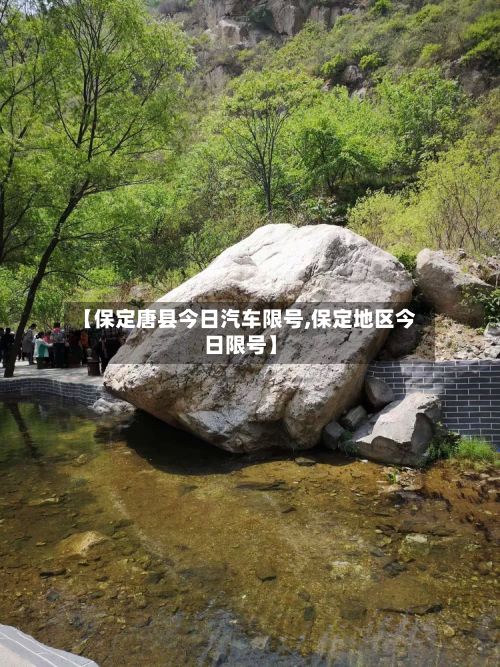 【保定唐县今日汽车限号,保定地区今日限号】