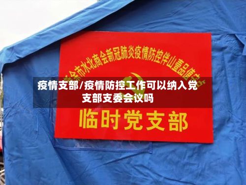 疫情支部/疫情防控工作可以纳入党支部支委会议吗