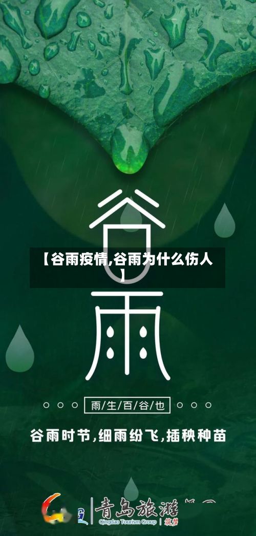【谷雨疫情,谷雨为什么伤人】