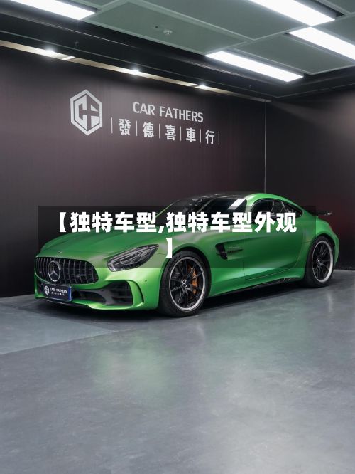 【独特车型,独特车型外观】-第3张图片