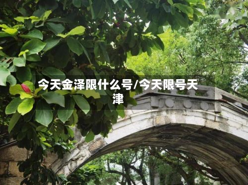 今天金泽限什么号/今天限号天津-第2张图片