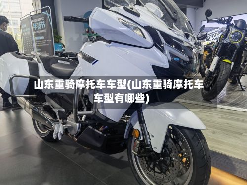 山东重骑摩托车车型(山东重骑摩托车车型有哪些)-第3张图片