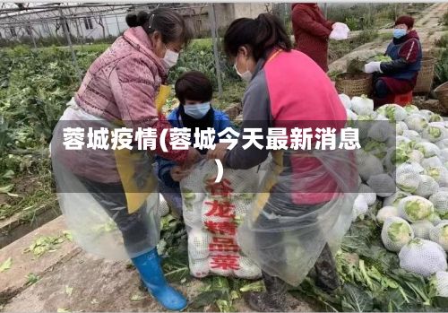 蓉城疫情(蓉城今天最新消息)