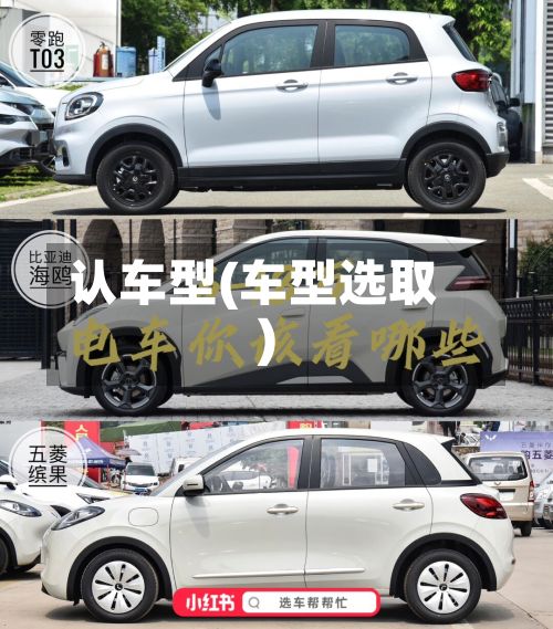 认车型(车型选取)