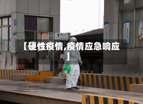 【硬性疫情,疫情应急响应】-第2张图片