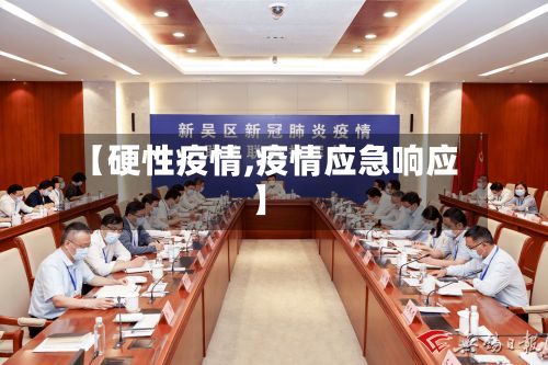 【硬性疫情,疫情应急响应】-第3张图片