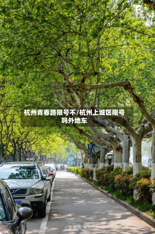 杭州青春路限号不/杭州上城区限号吗外地车