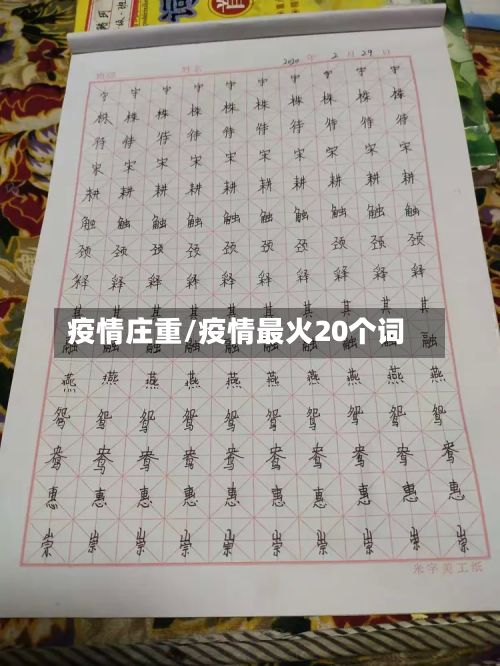 疫情庄重/疫情最火20个词