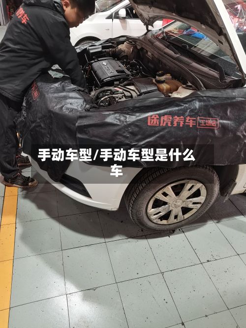 手动车型/手动车型是什么车