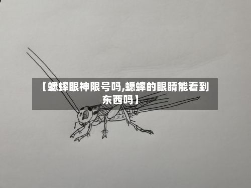 【蟋蟀眼神限号吗,蟋蟀的眼睛能看到东西吗】-第2张图片