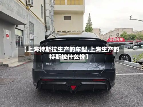 【上海特斯拉生产的车型,上海生产的特斯拉什么价】