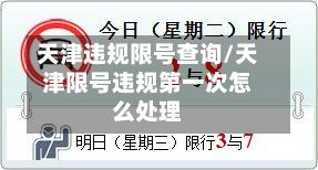 天津违规限号查询/天津限号违规第一次怎么处理