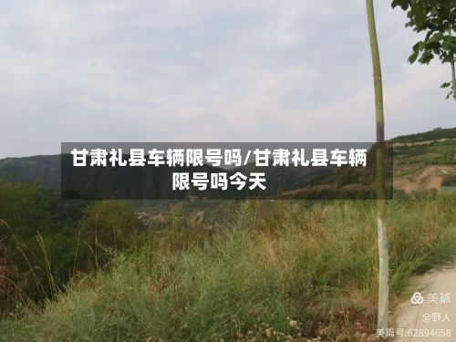 甘肃礼县车辆限号吗/甘肃礼县车辆限号吗今天-第2张图片