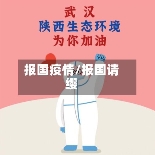 报国疫情/报国请缨-第2张图片