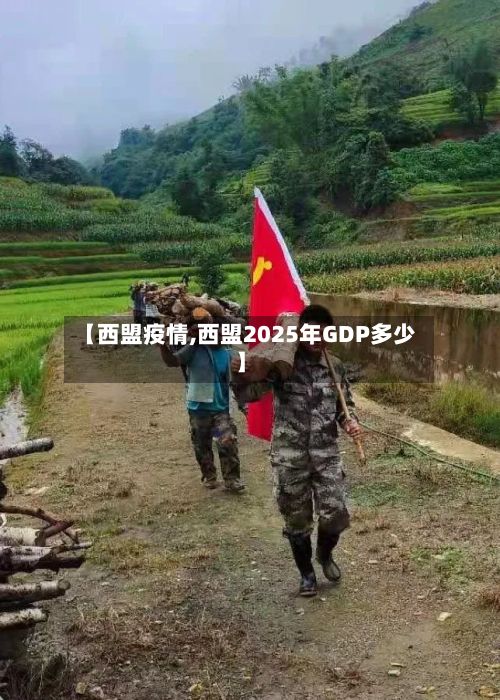 【西盟疫情,西盟2025年GDP多少】-第2张图片
