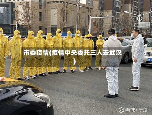 市委疫情(疫情中央委托三人去武汉)-第2张图片
