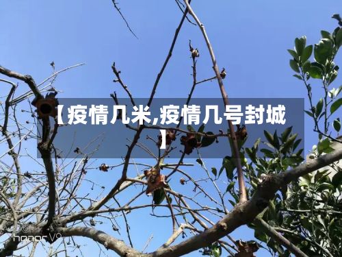 【疫情几米,疫情几号封城】-第2张图片