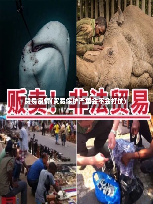 贸易疫情(贸易保护严重会不会打仗)