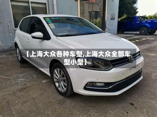 【上海大众各种车型,上海大众全部车型小型】