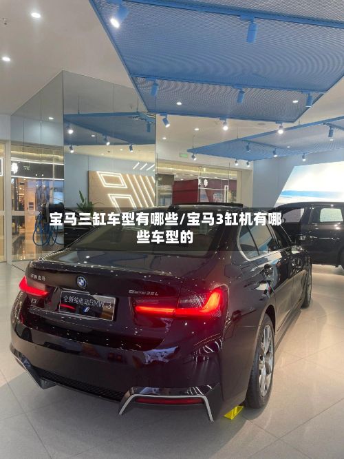 宝马三缸车型有哪些/宝马3缸机有哪些车型的-第2张图片