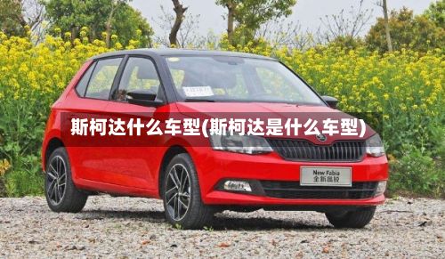 斯柯达什么车型(斯柯达是什么车型)